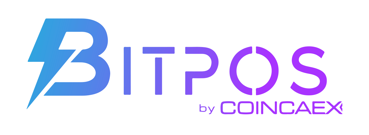 Interfaz del sistema BITPOS